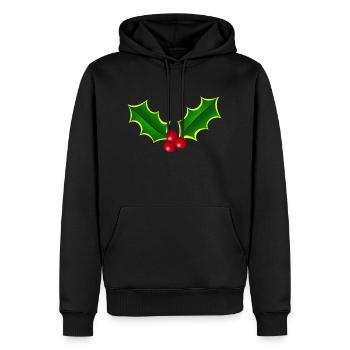 Holly - Men’s Premium Organic Hoodie - black - Front - Nico (187cm)
