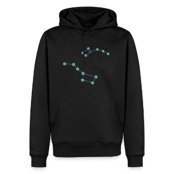 Großer Wagen Kleiner Wagen Sternbild Konstellation - Männer Premium Bio Hoodie - Schwarz - Vorne - Nico (187cm)