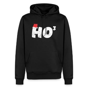 Ho 3 Professeur de mathématiques de Noël Santa HO HO HO - Sweat à capuche Premium bio Homme - noir - Devant - Nico (187cm)