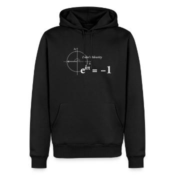 Formule mathématique d'Euler - Sweat à capuche Premium bio Homme - noir - Devant - Nico (187cm)