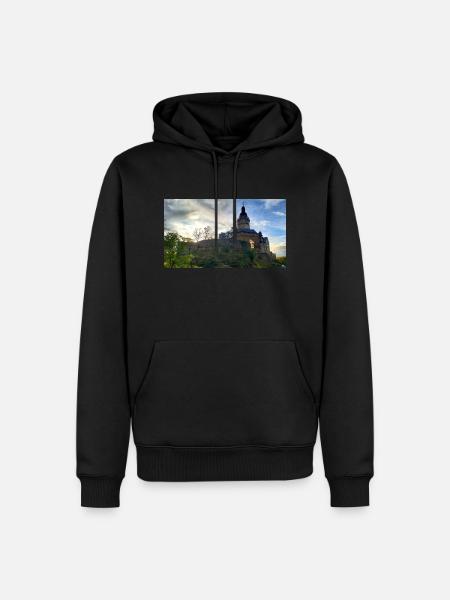 Falkenstein Castle - Men’s Premium Organic Hoodie - black