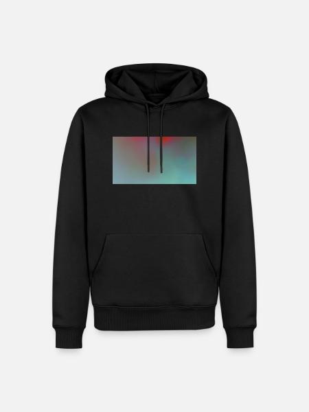 Mystery 147 - Men’s Premium Organic Hoodie - black