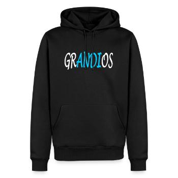 Grandios-Andi -Andreas-Namenstag-Geschenk Version3 - Männer Premium Bio Hoodie - Schwarz - Vorne - Nico (187cm)