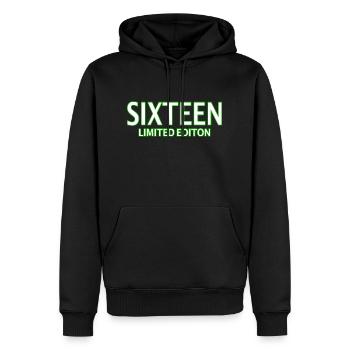 16. Geburtstag 16 Jahre Sechzehn Geschenk - Männer Premium Bio Hoodie - Schwarz - Vorne - Nico (187cm)