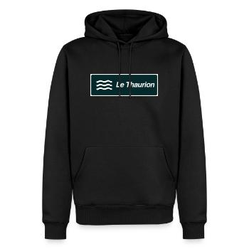 Panneau Thaurion - Sweat à capuche Premium bio Homme - noir - Devant - Nico (187cm)