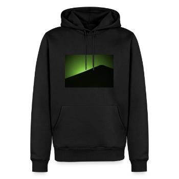 Vert clair de lune - Sweat à capuche Premium bio Homme - noir - Devant - Nico (187cm)