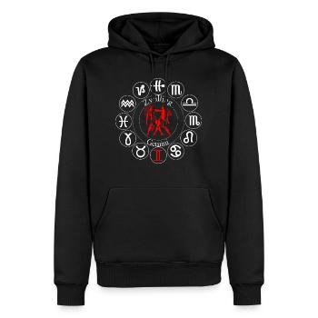 Sternzeichen Zwilling - Männer Premium Bio Hoodie - Schwarz - Vorne - Nico (187cm)