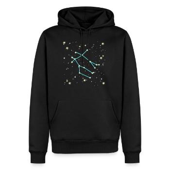 Conception de l'univers du signe du zodiaque Gémeaux - Sweat à capuche Premium bio Homme - noir - Devant - Nico (187cm)