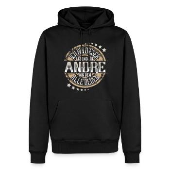 Andre - Männer Premium Bio Hoodie - Schwarz - Vorne - Nico (187cm)