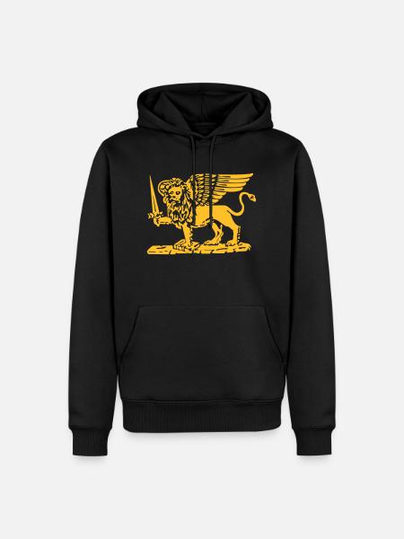 Venice italy - Men’s Premium Organic Hoodie - black
