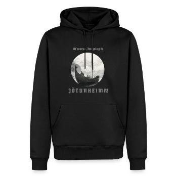 Un navire viking navigue vers Jötunheim avec inscription - Sweat à capuche Premium bio Homme - noir - Devant - Nico (187cm)