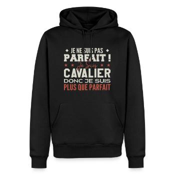 Un Cavalier, le Métier de Rêve Mis à l’Honneur - Sweat à capuche Premium bio Homme - noir - Devant - Nico (187cm)