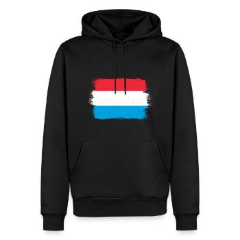 Drapeau luxembourgeois Drapeau luxembourgeois Accueil - Sweat à capuche Premium bio Homme - noir - Devant - Nico (187cm)