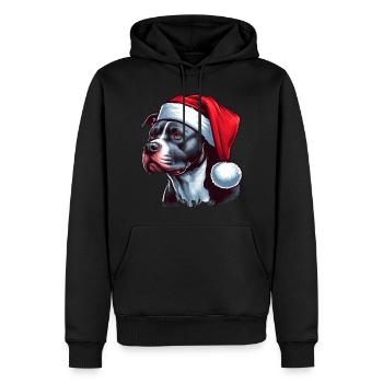 Cadeaux mignons de Pitbull - Sweat à capuche Premium bio Homme - noir - Devant - Nico (187cm)