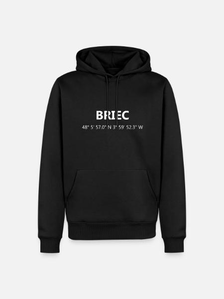 Briec coordonnées gps - Sweat à capuche Premium bio Homme - noir