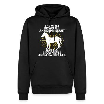 Chevaux amateur de chevaux cadeau d'équitation - Sweat à capuche Premium bio Homme - noir - Devant - Nico (187cm)