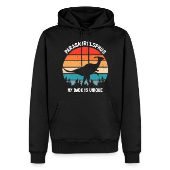 Paläontologie-Lehrer und Parasaurolophus Motif - Männer Premium Bio Hoodie - Schwarz - Vorne - Nico (187cm)