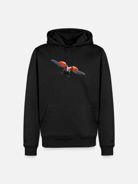 ladybug Marienkäfer - Männer Premium Bio Hoodie - Schwarz