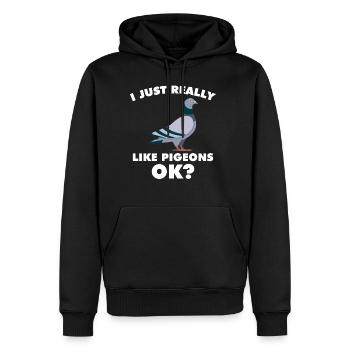 J'aime vraiment les pigeons, d'accord? Pigeons - Sweat à capuche Premium bio Homme - noir - Devant - Nico (187cm)