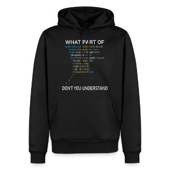 Programmierer Spruch Informatiker Geschenkidee - Männer Premium Bio Hoodie - Schwarz - Vorne - Nico (187cm)
