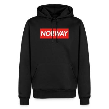Norway Norvège - Sweat à capuche Premium bio Homme - noir - Devant - Nico (187cm)