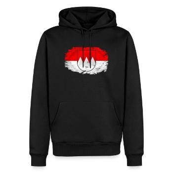 Franken Flagge - Vintage Look - Männer Premium Bio Hoodie - Schwarz - Vorne - Nico (187cm)