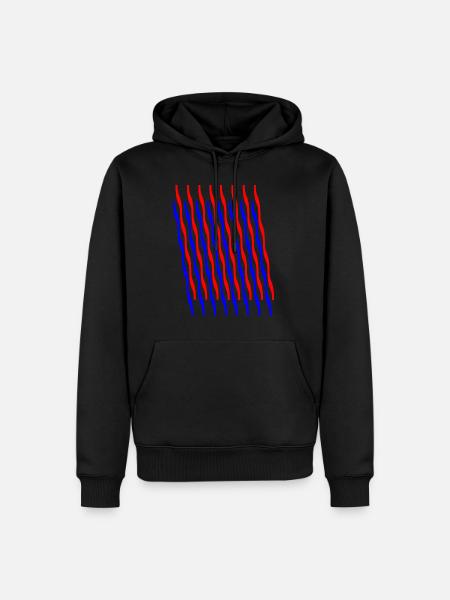Zigzag 2 - Sweat à capuche Premium bio Homme - noir