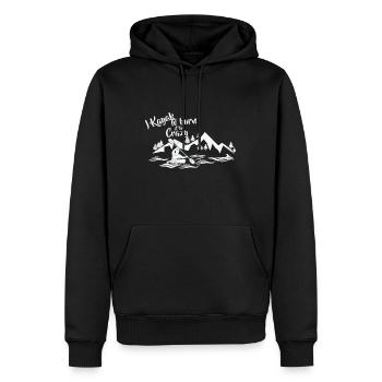 Ich fahre Kajak - Männer Premium Bio Hoodie - Schwarz - Vorne - Nico (187cm)