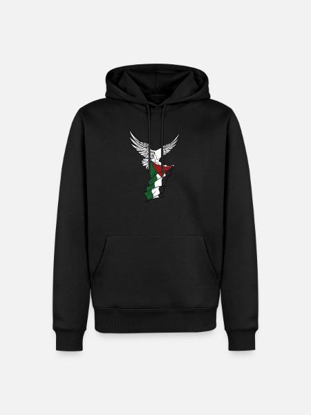 Freedom for Palestine Palestinian Flag Gaza - Men’s Premium Organic Hoodie - black
