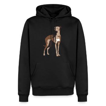 Windhund, Galgo, windhunde - Männer Premium Bio Hoodie - Schwarz - Vorne - Nico (187cm)