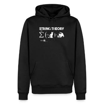 Katze Stringtheorie Wolle Quantenmechanik Mathe - Männer Premium Bio Hoodie - Schwarz - Vorne - Nico (187cm)