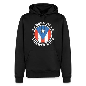 Drapeau de Porto Rico - Sweat à capuche Premium bio Homme - noir - Devant - Nico (187cm)