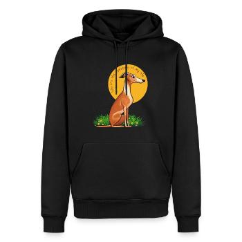 You Are The Sunshine Of My Life - Men’s Premium Organic Hoodie - black - Front - Nico (187cm)