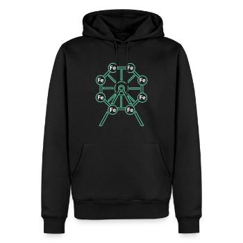 La grande roue de la chimie ! - Cadeau - Sweat à capuche Premium bio Homme - noir - Devant - Nico (187cm)