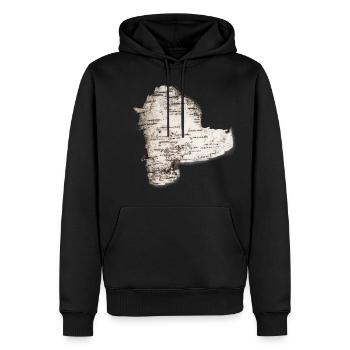 birchbark - Men’s Premium Organic Hoodie - black - Front - Nico (187cm)
