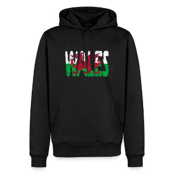 Pays de Galles Drapeau gallois Royaume-Uni Dragon - Sweat à capuche Premium bio Homme - noir - Devant - Nico (187cm)
