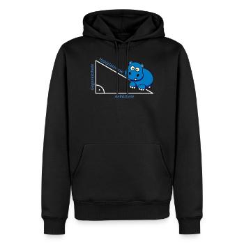 Hippotenuse Pythagoras Mathe Hippo Lehrer Geschenk - Männer Premium Bio Hoodie - Schwarz - Vorne - Nico (187cm)