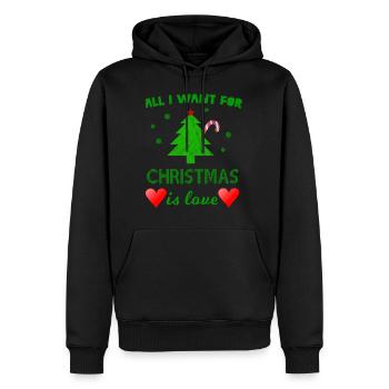 Noël amour - cadeau - Sweat à capuche Premium bio Homme - noir - Devant - Nico (187cm)