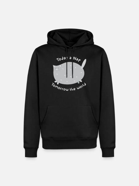 Katze / schlafen / Weltherrschaft / Geschenk - Männer Premium Bio Hoodie - Schwarz