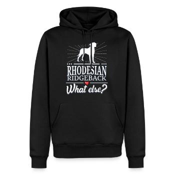 Rhodesian Ridgeback quoi d'autre? - Sweat à capuche Premium bio Homme - noir - Devant - Nico (187cm)