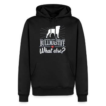 Bullmastiff what else? - Männer Premium Bio Hoodie - Schwarz - Vorne - Nico (187cm)