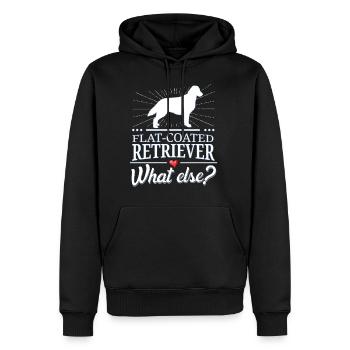Flat-Coated Retriever quoi d'autre? - Sweat à capuche Premium bio Homme - noir - Devant - Nico (187cm)