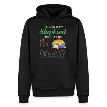 LBGT Flag Gay Pride Human Vintage Rainbow - Männer Premium Bio Hoodie - Schwarz - Vorne - Nico (187cm)