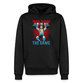Train Insane Or Remain The Same 26 - Men’s Premium Organic Hoodie - black - Front - Nico (187cm)