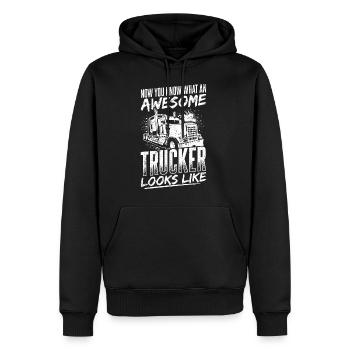 Jetzt weißt du, wie ein toller Trucker aussieht Tr - Männer Premium Bio Hoodie - Schwarz - Vorne - Nico (187cm)