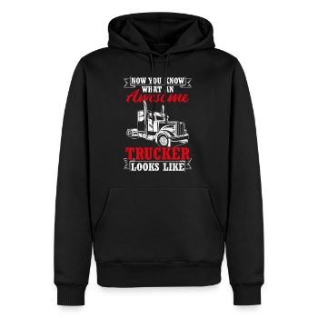 Jetzt weißt du, wie ein toller Trucker aussieht Tr - Männer Premium Bio Hoodie - Schwarz - Vorne - Nico (187cm)