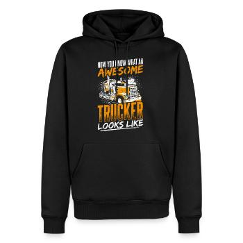 Truck Diesel Highway Bester Job Geld Trucker Truck - Männer Premium Bio Hoodie - Schwarz - Vorne - Nico (187cm)