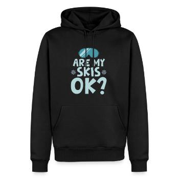 Are My Skis Ok - Männer Premium Bio Hoodie - Schwarz - Vorne - Nico (187cm)
