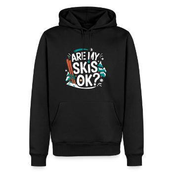 Are My Skis Ok 4 - Männer Premium Bio Hoodie - Schwarz - Vorne - Nico (187cm)