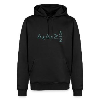 Schrodinger equation quantum physics gift - Men’s Premium Organic Hoodie - black - Front - Nico (187cm)